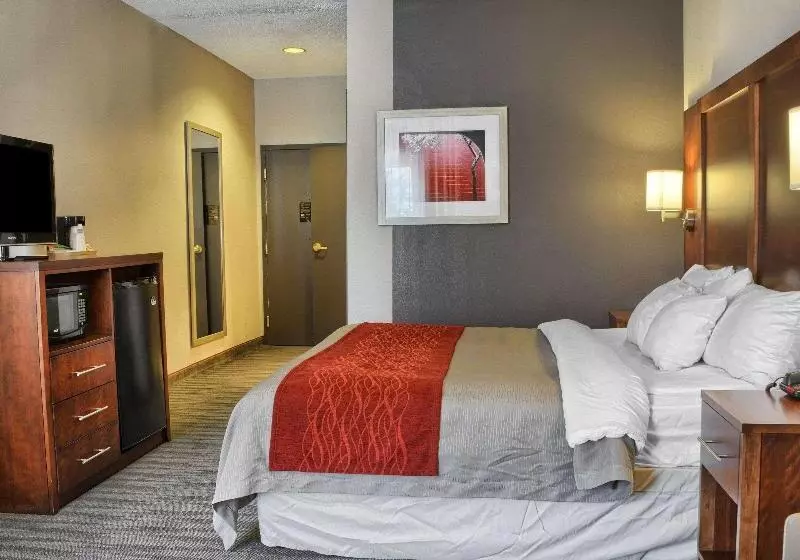 キングサイズベッドのスイートルーム, Comfort Inn Ruther Glen Near Kings Dominion