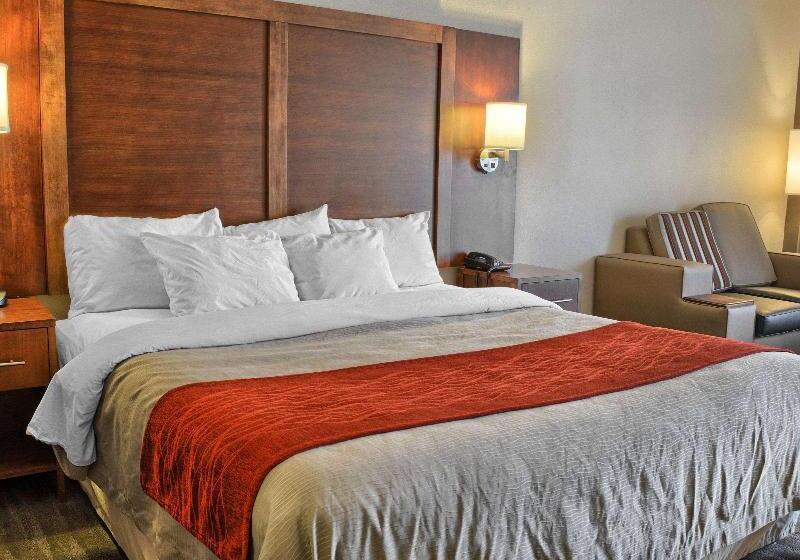 带大床的套房, Comfort Inn Ruther Glen Near Kings Dominion
