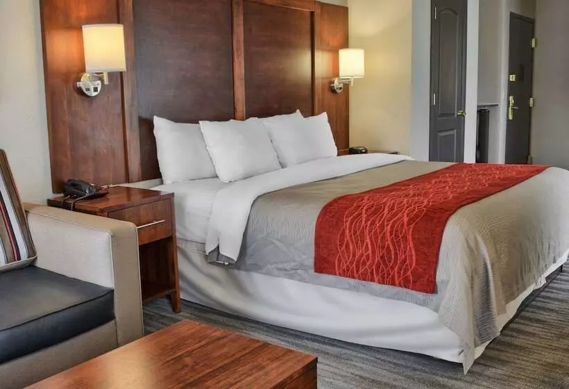 身障者適用スイートルーム, Comfort Inn Ruther Glen Near Kings Dominion