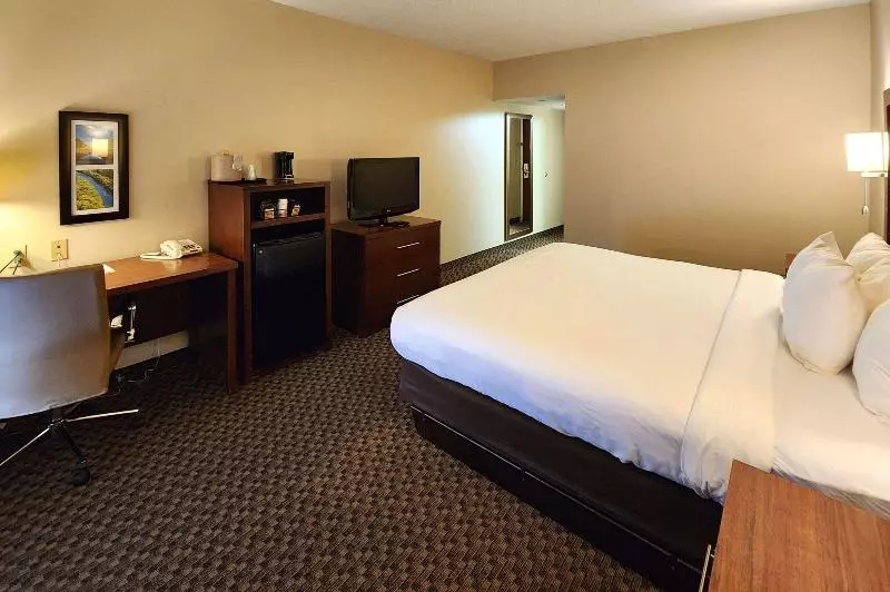 キングサイズベッドのスタンダードルーム, Comfort Inn & Suites Near Pocono Mountains