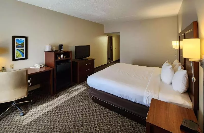 キングサイズベッドのスタンダードルーム, Comfort Inn & Suites Near Pocono Mountains