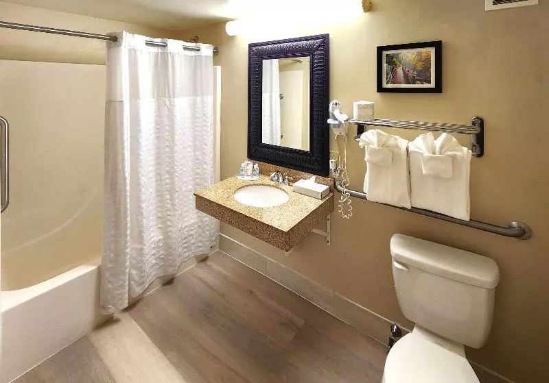 キングサイズベッドのスタンダードルーム, Comfort Inn & Suites Near Pocono Mountains
