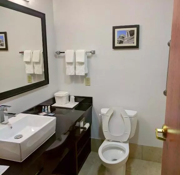 ２ダブルベッドのスタンダードルーム, Comfort Inn & Suites Statesboro  University Area