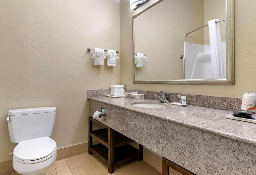 غرفه قياسيه سريرين مزدوجين, Comfort Inn & Suites Statesboro  University Area