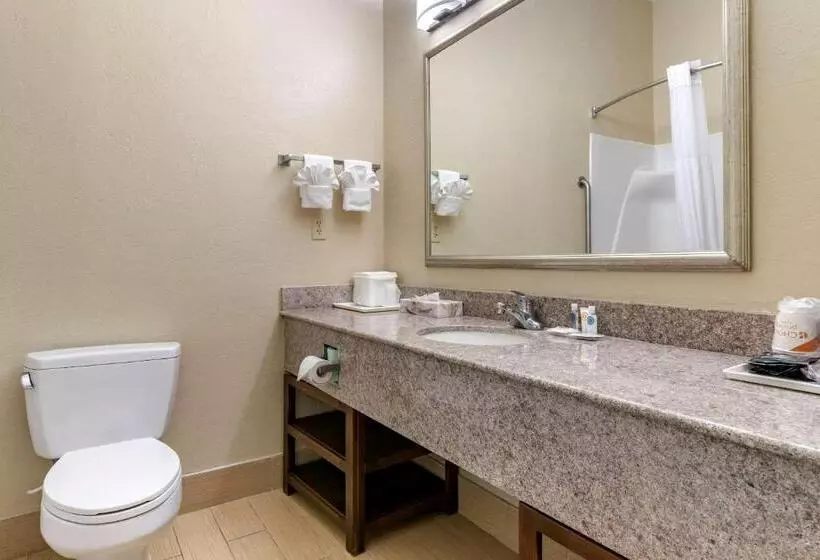 スタンダードルーム, Comfort Inn & Suites Statesboro  University Area