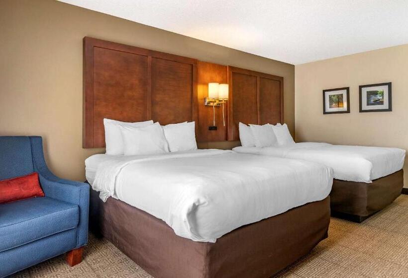 غرفة قياسية لذوى الاحتياجات الخاصة, Comfort Inn & Suites Statesboro  University Area