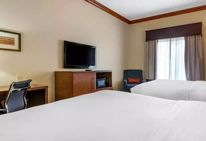 身障者適用スタンダードルーム, Comfort Inn & Suites Statesboro  University Area