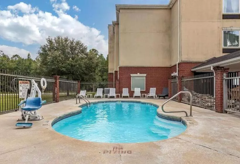 身障者適用キングサイズベッドルーム, Comfort Inn & Suites Statesboro  University Area