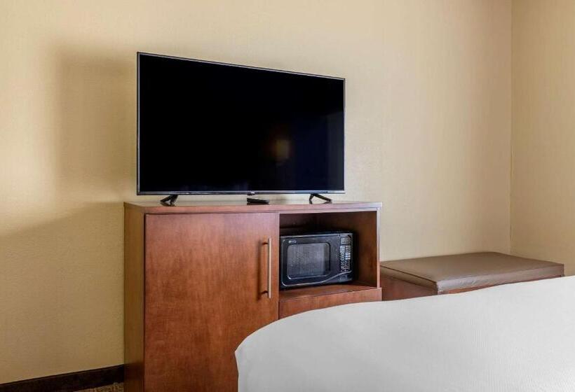 غرفة قياسية سرير كينج لذوى الإحتياجات الخاصة, Comfort Inn & Suites Statesboro  University Area