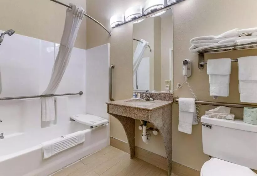 身障者適用キングサイズベッドルーム, Comfort Inn & Suites Statesboro  University Area
