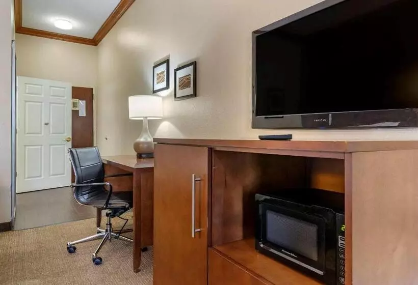身障者適用キングサイズベッドルーム, Comfort Inn & Suites Statesboro  University Area
