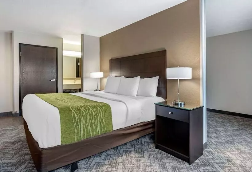キングサイズベッドのスイートルーム, Comfort Inn & Suites Tualatin  Lake Oswego South