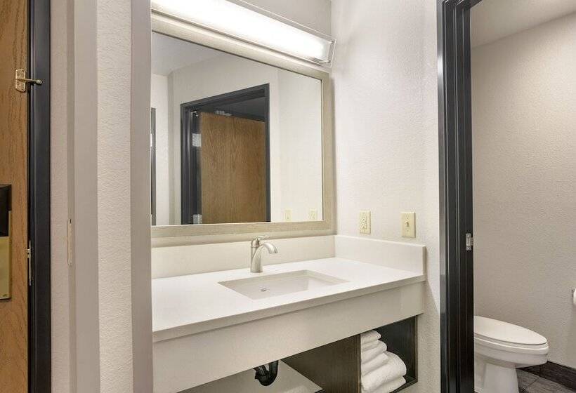 Номер Стандарт, Comfort Inn & Suites Tualatin  Lake Oswego South