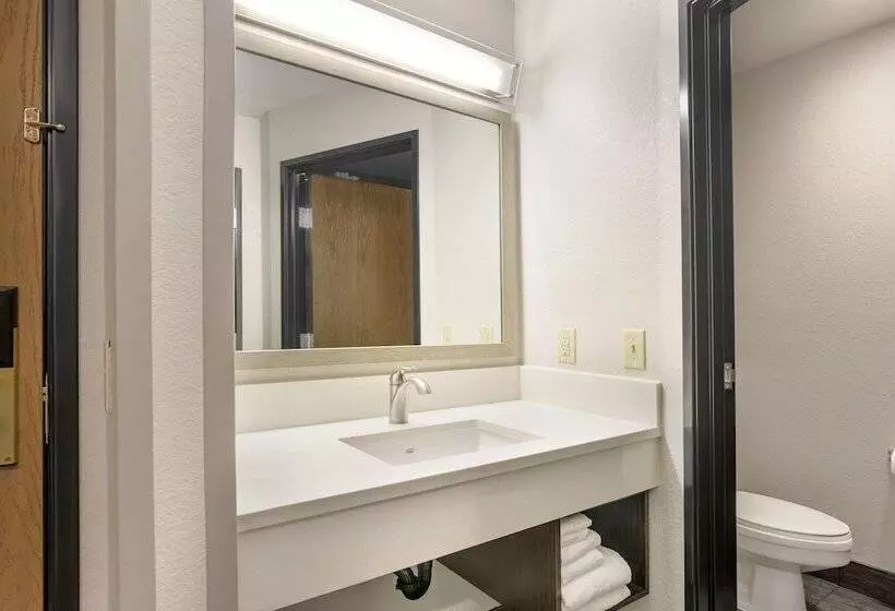 スタンダードルーム, Comfort Inn & Suites Tualatin  Lake Oswego South
