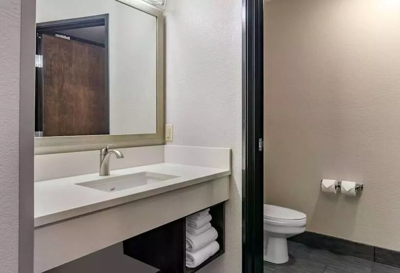 スタンダードルーム, Comfort Inn & Suites Tualatin  Lake Oswego South