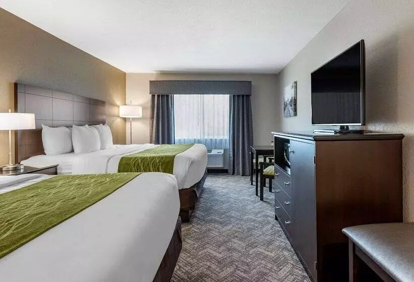 スタンダードルーム, Comfort Inn & Suites Tualatin  Lake Oswego South
