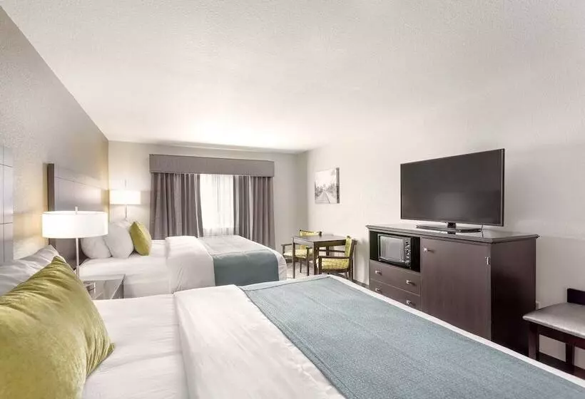 スタンダードルーム, Comfort Inn & Suites Tualatin  Lake Oswego South