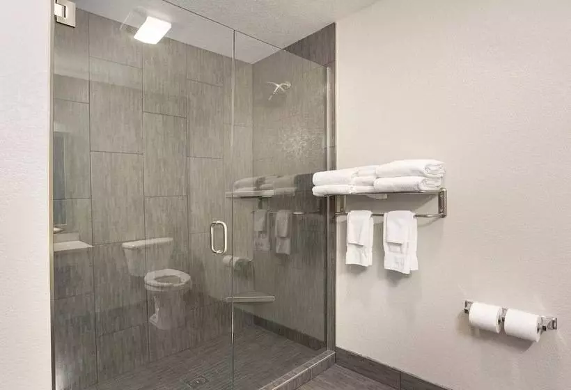 身障者適用スイートルーム, Comfort Inn & Suites Tualatin  Lake Oswego South