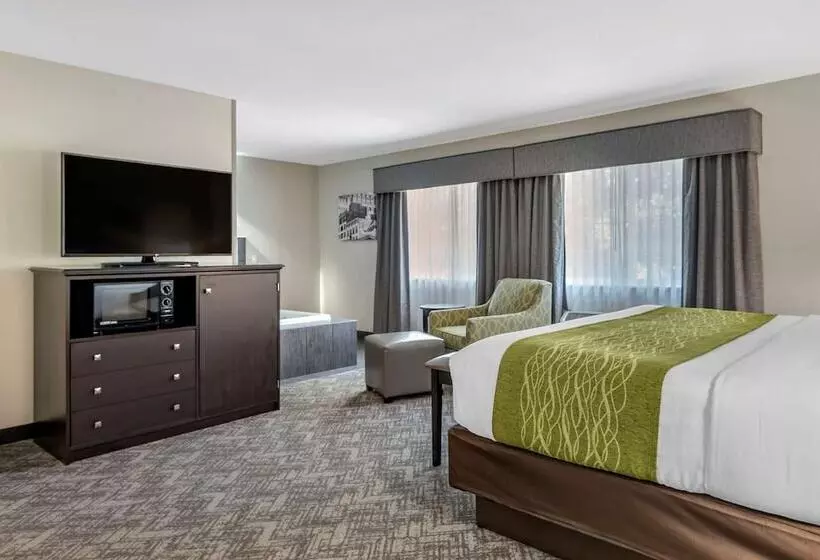 身障者適用スイートルーム, Comfort Inn & Suites Tualatin  Lake Oswego South