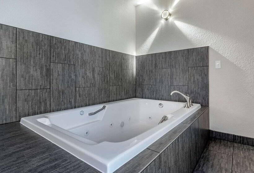 Люкс Адаптированный для Инвалидов, Comfort Inn & Suites Tualatin  Lake Oswego South
