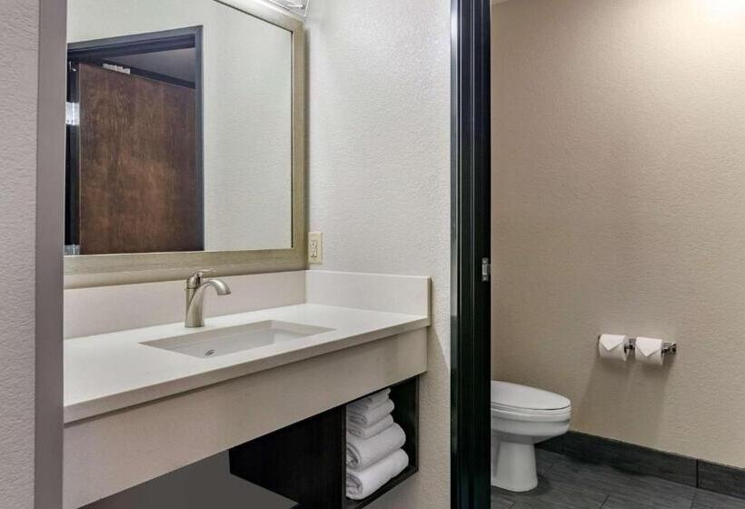 Номер Стандарт, Comfort Inn & Suites Tualatin  Lake Oswego South