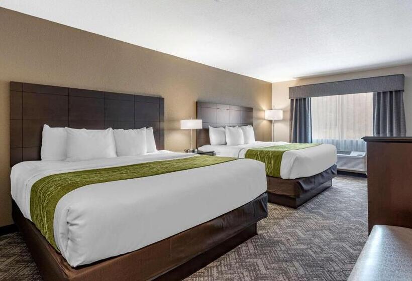 标准间, Comfort Inn & Suites Tualatin Lake Oswego South