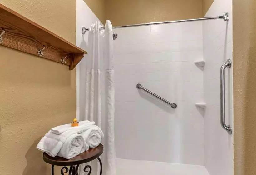 キングサイズベッドのスタンダードルーム, Comfort Inn Warrensburg Station