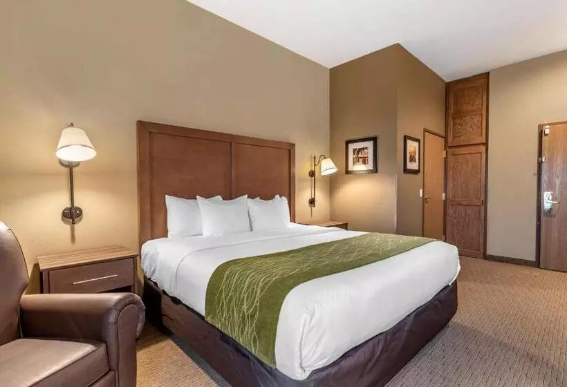 キングサイズベッドのスタンダードルーム, Comfort Inn Warrensburg Station