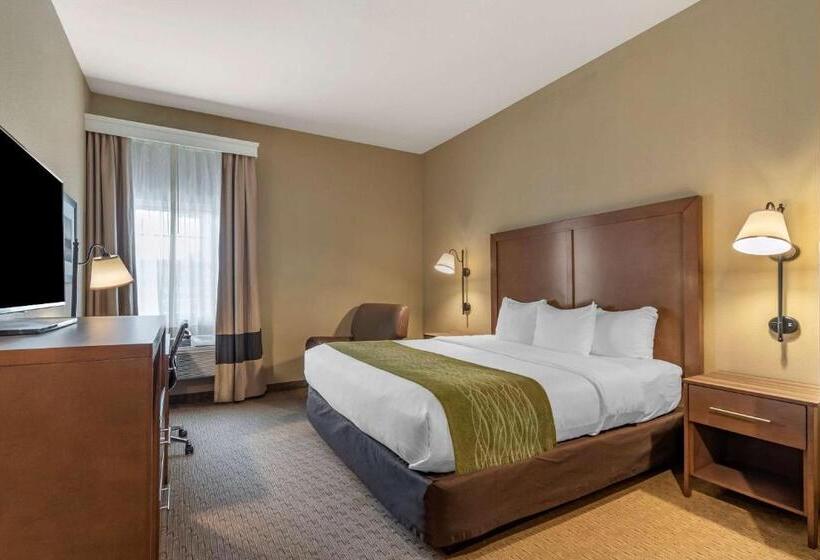 غرفة قياسية سرير كينج, Comfort Inn Warrensburg Station