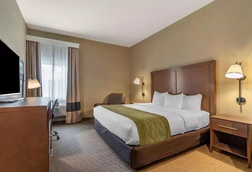 キングサイズベッドのスタンダードルーム, Comfort Inn Warrensburg Station
