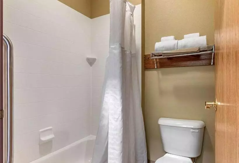 キングサイズベッドのスタンダードルーム, Comfort Inn Warrensburg Station