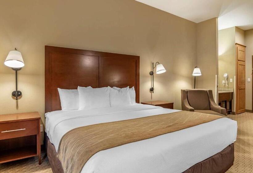 غرفة ديلوكس سرير كينج, Comfort Inn Warrensburg Station