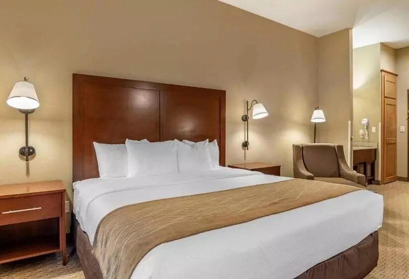 キングサイズベッドのデラックスルーム, Comfort Inn Warrensburg Station