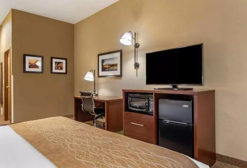 キングサイズベッドのデラックスルーム, Comfort Inn Warrensburg Station