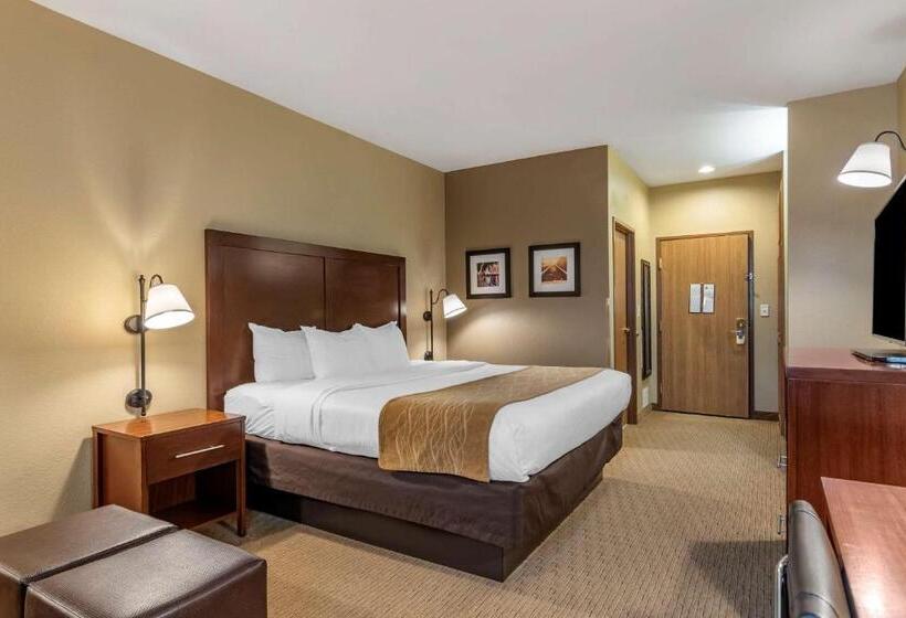 غرفة ديلوكس سرير كينج, Comfort Inn Warrensburg Station