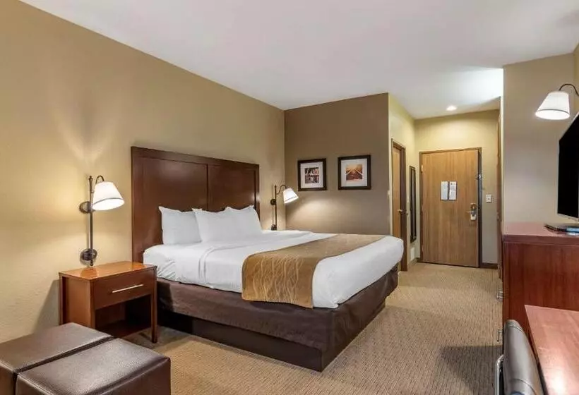 キングサイズベッドのデラックスルーム, Comfort Inn Warrensburg Station