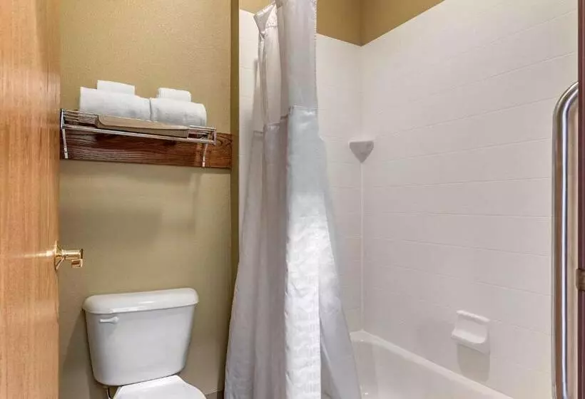 スタンダードルーム, Comfort Inn Warrensburg Station