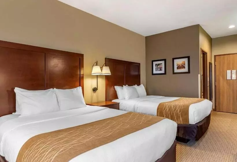 スタンダードルーム, Comfort Inn Warrensburg Station