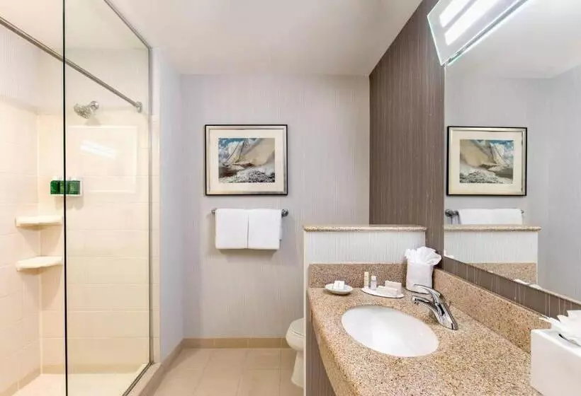 اتاق استاندارد با تخت بزرگ, Courtyard Boston Copley Square