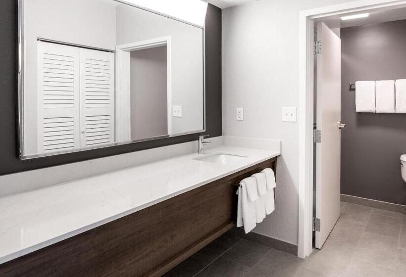 带大床的套房, Courtyard By Marriott Charlotte Ballantyne