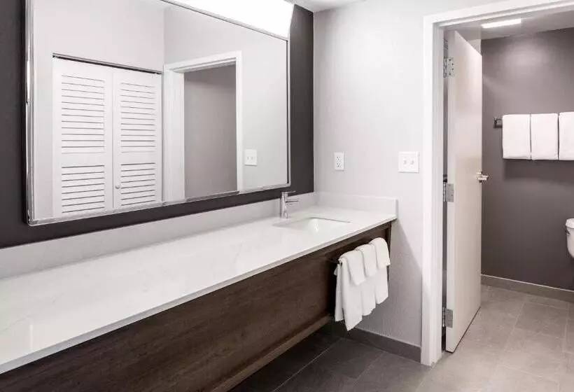 سوئیت با تخت بزرگ, Courtyard By Marriott Charlotte Ballantyne