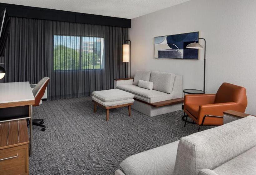 带大床的套房, Courtyard By Marriott Charlotte Ballantyne