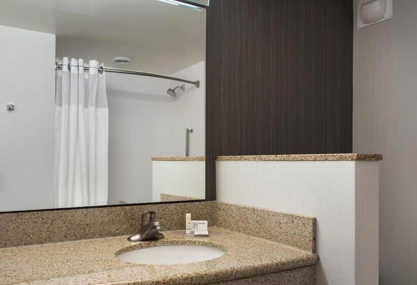 스탠다드 룸 킹사이즈 침대, Courtyard Fort Meade Bwi Business District