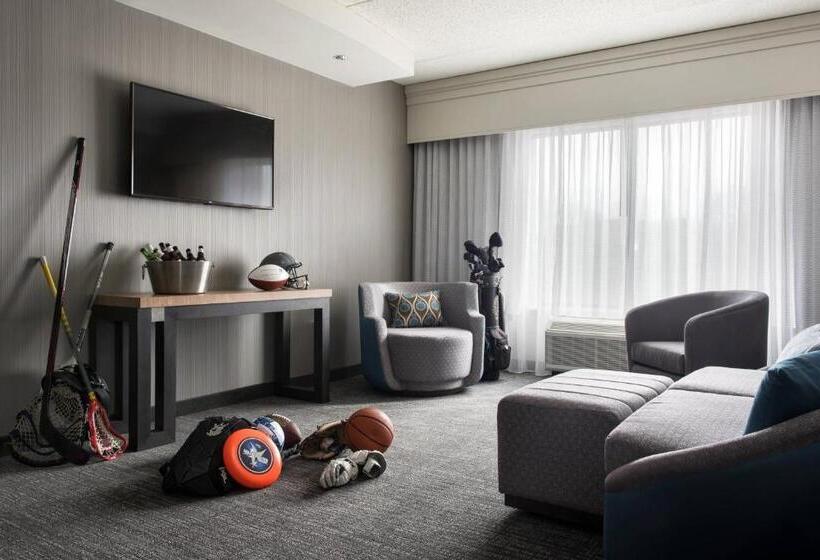 스위트 킹사이즈 침대, Courtyard Fort Meade Bwi Business District