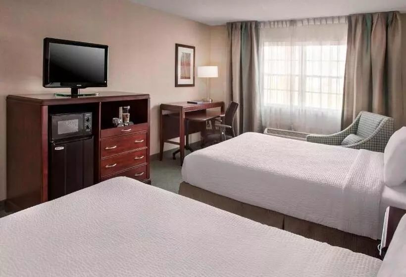 スタンダードルーム, Fairfield Inn & Suites By Marriott Great Barrington Lenox/berkshires