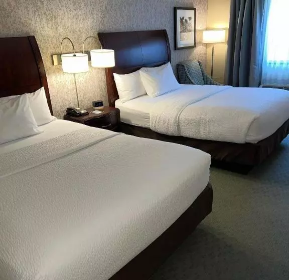 スタンダードルーム, Fairfield Inn & Suites By Marriott Great Barrington Lenox/berkshires