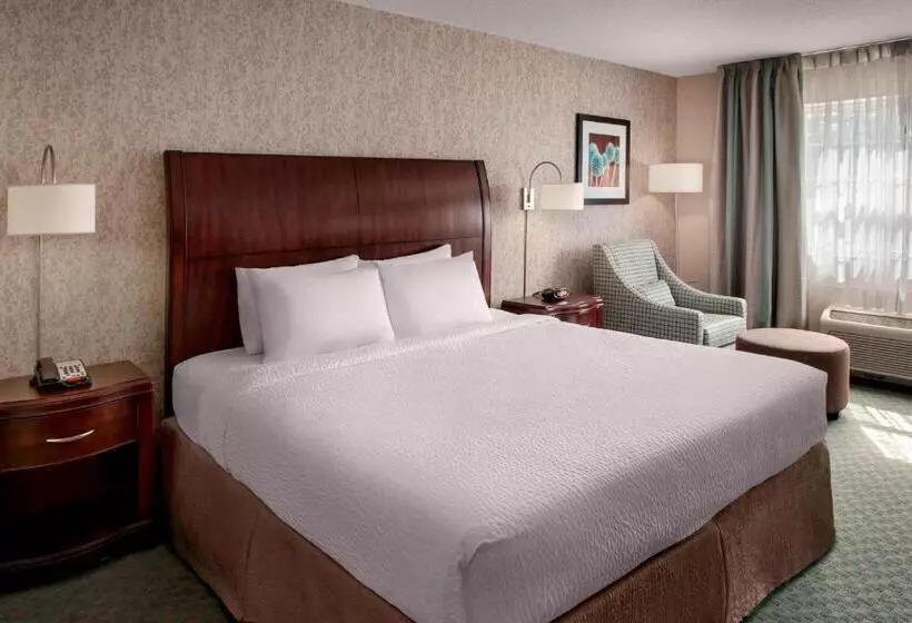 キングサイズベッドのスタンダードルーム, Fairfield Inn & Suites By Marriott Great Barrington Lenox/berkshires