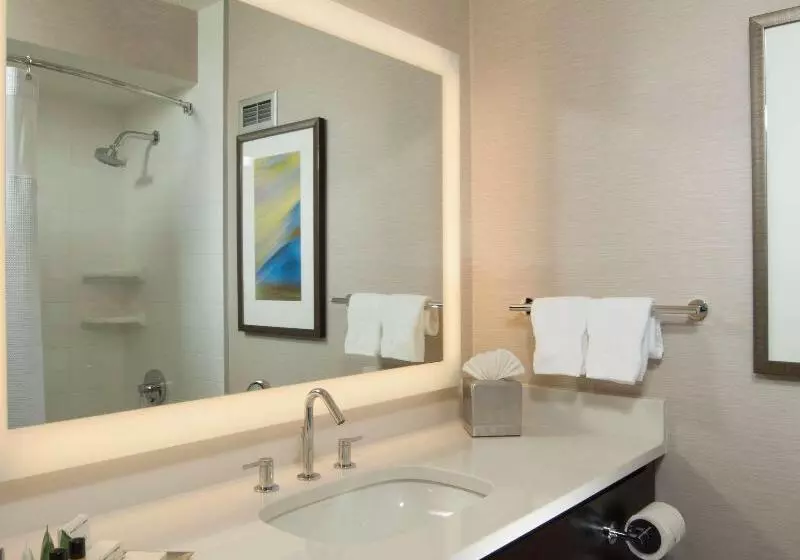 اتاق اجرایی با تخت بزرگ, Hilton Albany