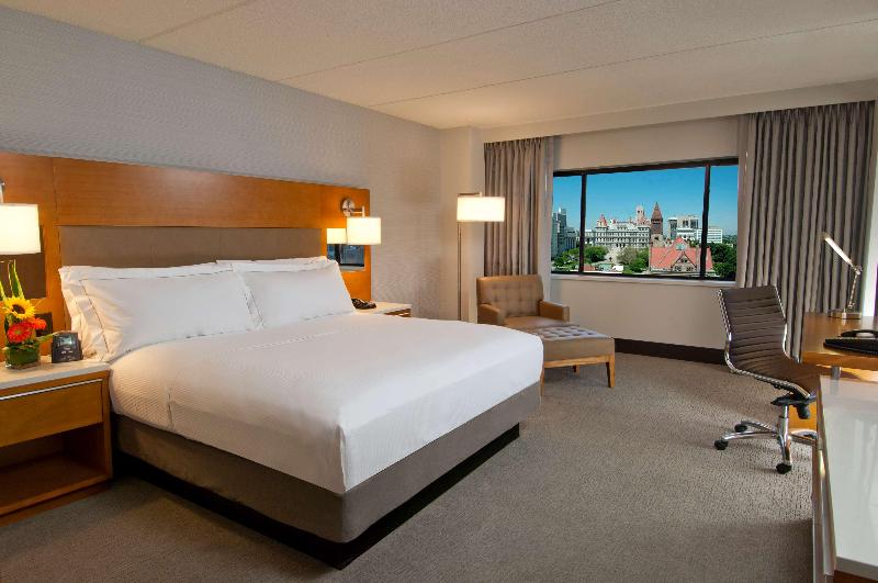 스탠다드 룸 킹사이즈 침대, Hilton Albany
