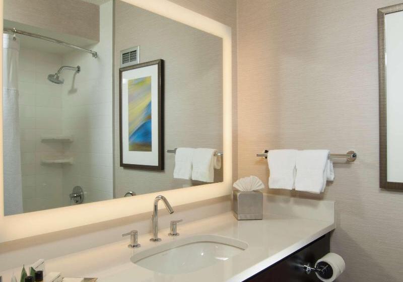 스탠다드 룸 킹사이즈 침대, Hilton Albany